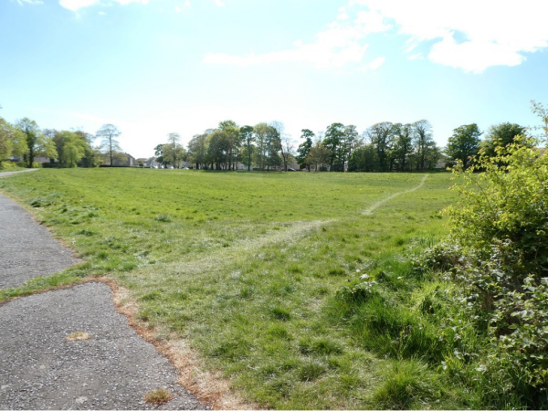 Ardchoille Park (Ardeer Thistle)