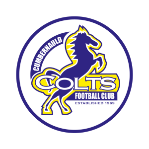 Club crest