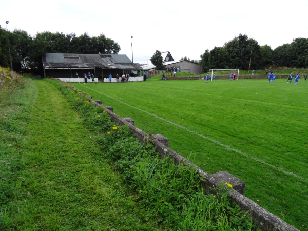 Beechwood Park (Lochee Harp)